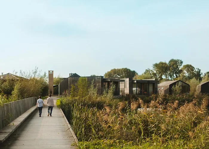 Basecamp 阿姆斯特丹